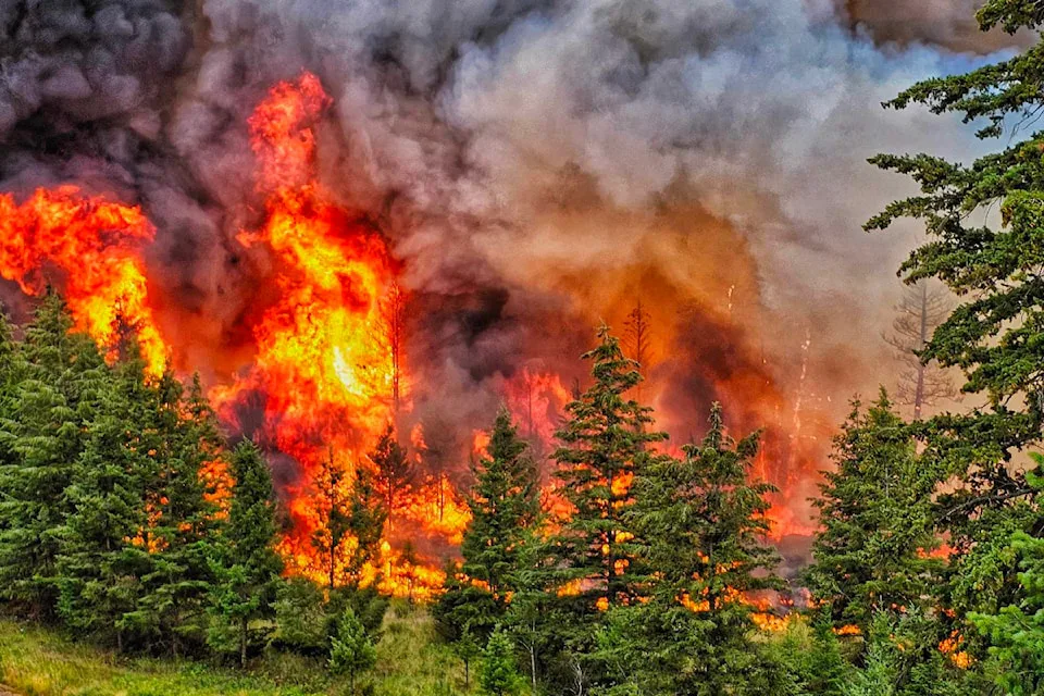 Crews Fight Williams Lake Wildfire from Air and Ground